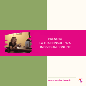 CONSULENZA-INDIVIDUALE_online