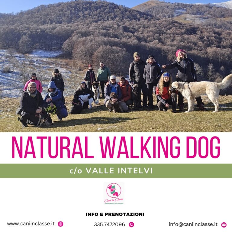 NATURAL WALKING DOG